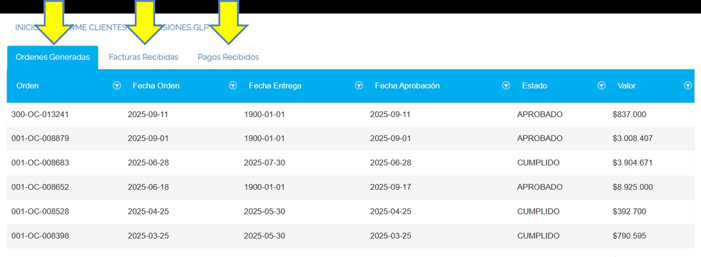 Captura de Portal 1K — Consultar órdenes, facturas y pagos